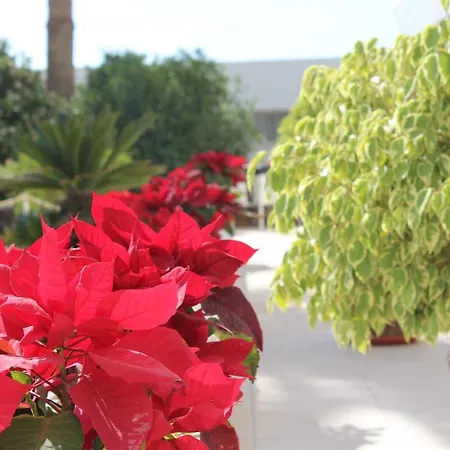 Club Mar - First Line With Sea View Costa Adeje